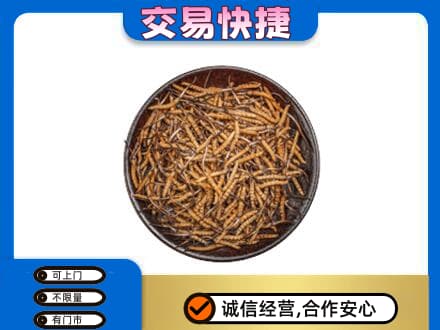 恩施州咸丰县高价回收散虫草